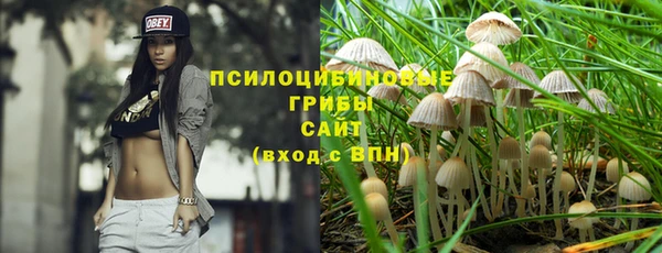 стафф Алзамай