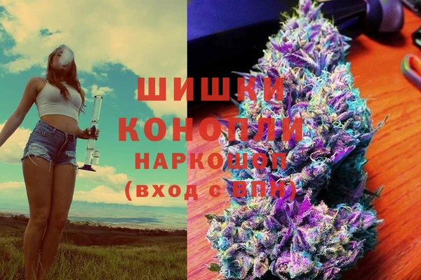 дживик Алексин