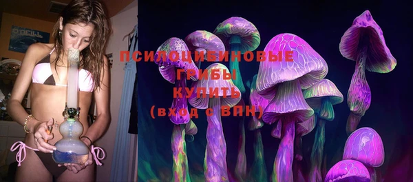 дживик Алексин