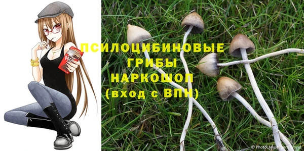 дживик Алексин